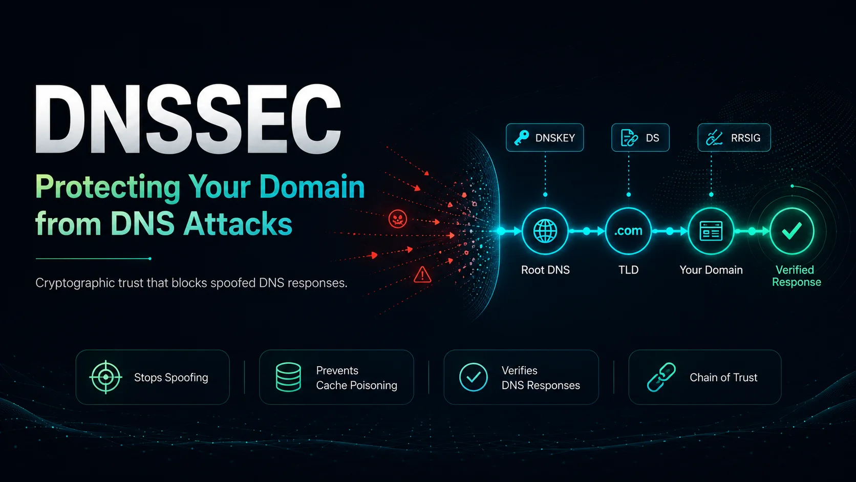 DNSSEC: Protecting Your Domain from DNS Attacks — Swaran Soft